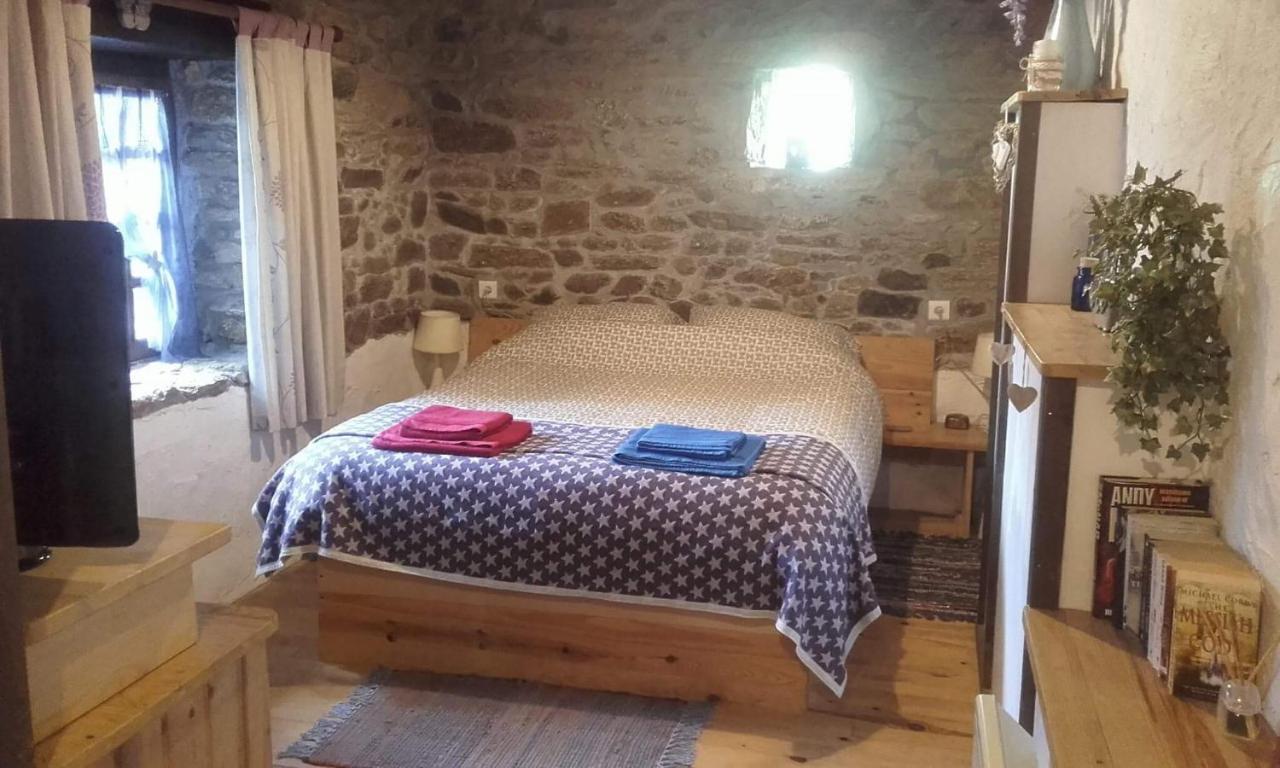Gites De Camors Экстерьер фото